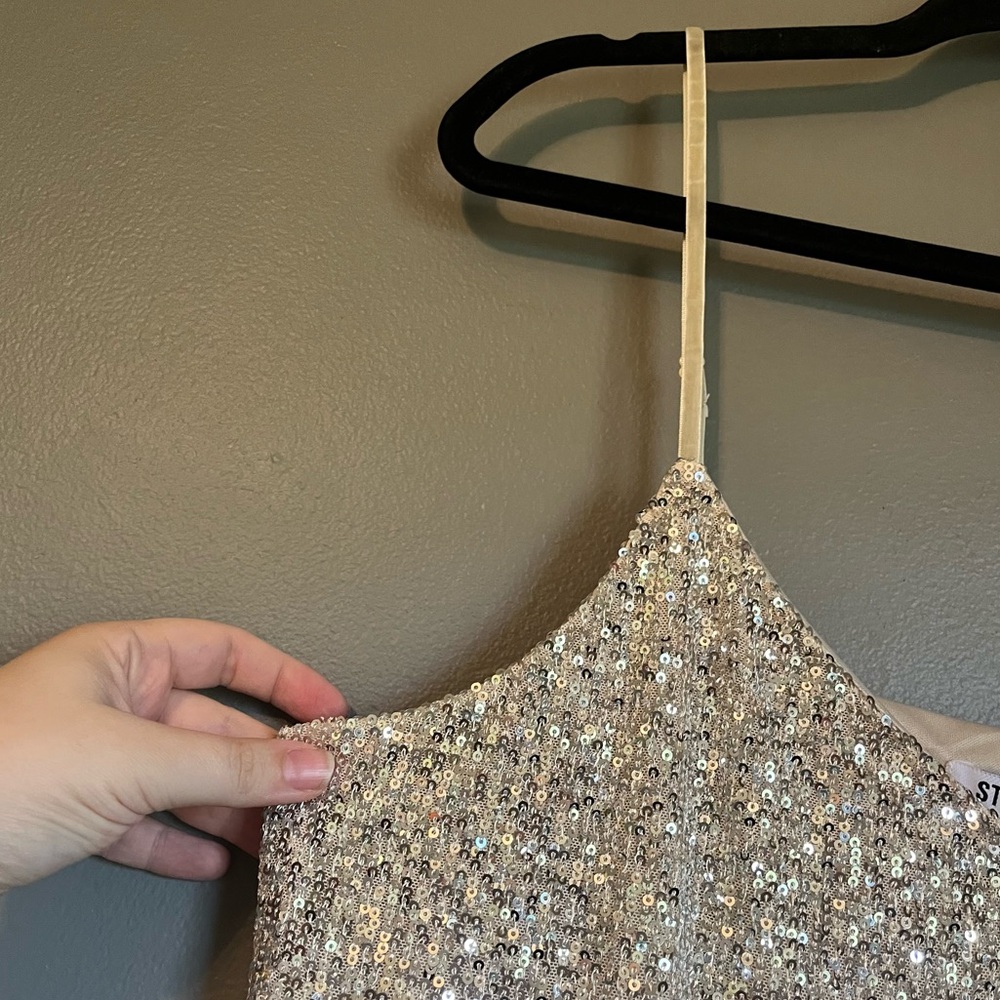 Steve Madden Silver Sequin Tank Top - Picture 4 of 9
